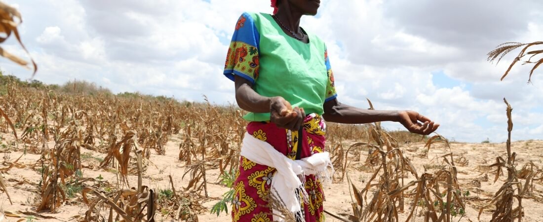 Climate Change and Sustainable Development in Africa: Challenges, Inequality, and the Global Response
