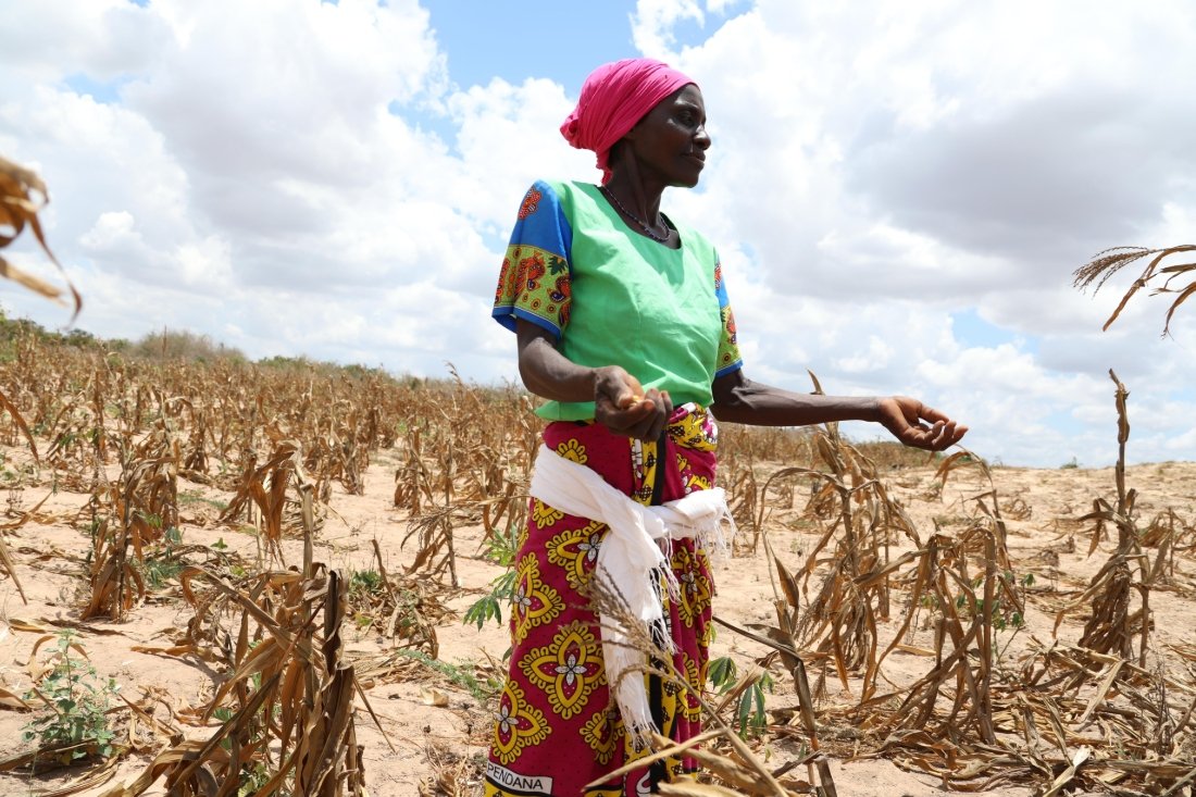 Climate Change and Sustainable Development in Africa: Challenges, Inequality, and the Global Response
